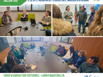 Ce.Sp.I.I._Univ_VERONA_24_11_2025