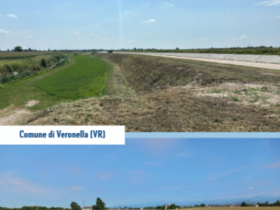 Immagine 2025-10-29 164609