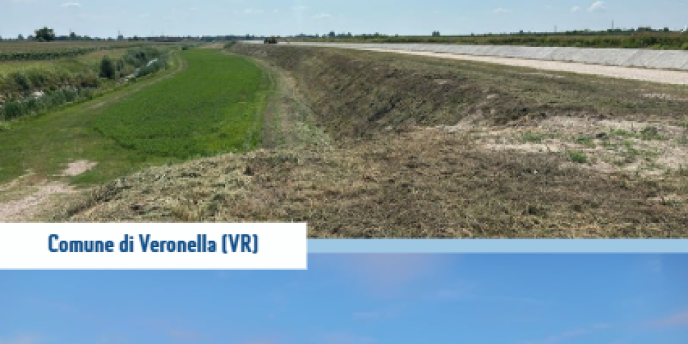 Immagine 2025-10-29 164609