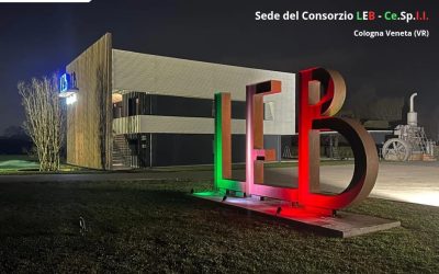 WhatsApp Image 2026-03-12 at 20.39.42