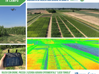 rilievi_8_luglio_2025