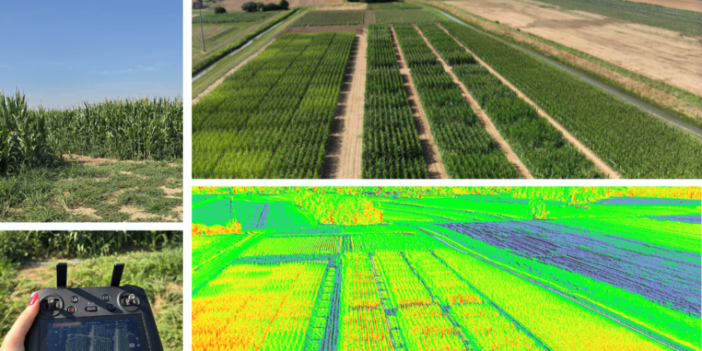 rilievi_8_luglio_2025